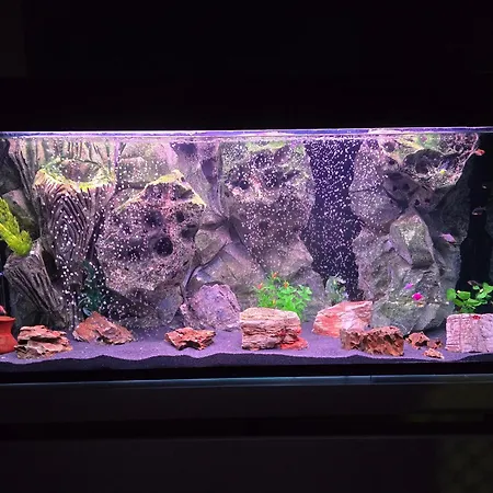 Doksim Luxury 301 * Pirot