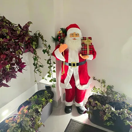 Doksim Luxury 301 * 皮罗特